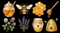 Honey jar with dipper, bee, honeycomb, clover, lavender, honey pot, and beehive isolated on transparent background. Ready for t-shirt designs, clipart, stickers, print-on-demand products, and sublimation projects.