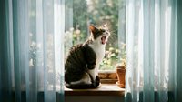 Tabby cat yawning on windowsill with sheer curtains and garden view, perfect for pet, home decor, and lifestyle content.