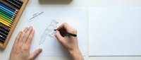 Artist hands drawing bird sketch with pencil on white paper surrounded by colored pencils box for creative art projects and illustration work.