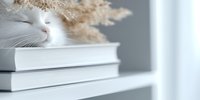 White cat sleeping peacefully on stack of books with dried pampas grass decoration, creating cozy minimalist home atmosphere. Soft natural lighting through window.