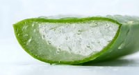 Fresh aloe vera leaf slice showing clear gel interior with water droplets on white background, natural skincare ingredient for cosmetic products.