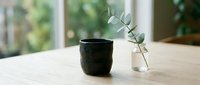 Minimalist home decor with black ceramic cup and eucalyptus branch in glass vase on wooden table near bright window for modern interior design.