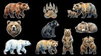 Grizzly bear, black bear, polar bear, and paw print illustrations isolated on transparent background. Ready for t-shirt design, clipart, stickers, sublimation, and print-on-demand products.