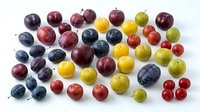 Fresh assorted grapes in red, purple, green and black varieties arranged on white background. Organic fruit produce for healthy eating, nutrition and culinary use.
