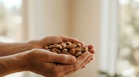Hands holding almonds, nutritious snack for healthy eating, wellness, and diet concepts.