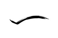 Black brush stroke resembling a bird in flight or checkmark on white background, isolated for graphic design projects.