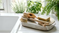 Eco-friendly wooden cleaning brushes and natural soap bar on ceramic tray in bright bathroom with green plants for sustainable zero waste lifestyle.