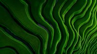 Abstract green wavy layered background with dark shadows creating depth and dimension. Organic flowing lines form topographic pattern suitable for modern design.