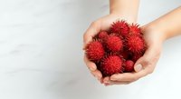 Hands holding fresh rambutan fruits with spiky red skin against white background. Tropical fruit harvest and healthy eating concept for food and nutrition design.