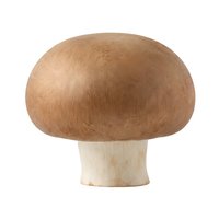 Whole brown mushroom with cream stem isolated on white background, ready for culinary, food styling, and design projects.