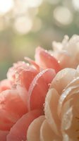 Soft coral and cream flower petals with morning dew drops in warm sunlight creating dreamy bokeh background for romantic spring garden designs.