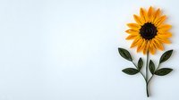 Single yellow sunflower with green leaves arranged on white background, minimalist botanical composition for greeting cards and wall art designs.