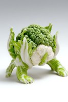 Creative food art showing cauliflower and broccoli arranged to look like a four-legged animal on white background, suitable for healthy eating concepts.