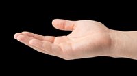 Caucasian adult hand with open palm facing upward in a giving or receiving gesture, isolated on transparent background. Ready for design use on t-shirts, clipart, stickers, print-on-demand products, and sublimation projects.