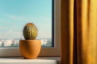 Small round cactus in golden ceramic pot on windowsill with yellow curtain and urban cityscape view in soft morning light. Minimalist home decor.