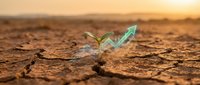 Young plant sprouting from cracked, arid soil with glowing green upward arrow overlay symbolizing growth, recovery, and business success despite harsh environmental conditions.