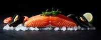 Fresh raw salmon fillet with mussels, shrimp, herbs and citrus on crushed ice against dark background, panoramic seafood composition.