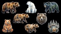 Bear species collection featuring brown, polar, and black bears in various poses with paw print, isolated on transparent background. Ready for t-shirt design, clipart, stickers, sublimation, and print-on-demand projects.