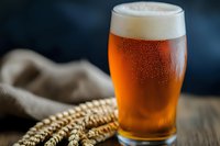 Fresh cold craft beer with foam head in glass on wooden table with wheat ears, dark background with natural lighting and condensation drops.