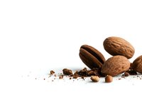 Fresh whole pecans and crushed pecan pieces scattered on white background, isolated composition showing texture and natural brown color. Food photography.