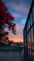 Vibrant red bougainvillea frames cityscape view at sunset from modern building terrace, with dramatic pink and blue sky reflecting in glass windows.