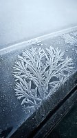 Delicate frost crystals forming intricate ice patterns on car windshield during cold winter morning creating natural frozen artwork.