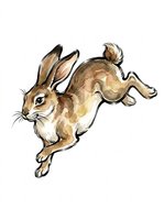 Jumping brown rabbit with long ears isolated on transparent background, ready for t-shirt design, clipart, stickers, sublimation and print-on-demand projects.