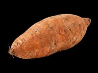 Whole sweet potato isolated on transparent background, ready for clipart, print-on-demand products, t-shirt designs, stickers, and sublimation projects.