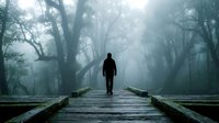 Man in dark clothing standing alone on wooden boardwalk through misty forest with towering trees and atmospheric fog, conveying solitude, mystery, and contemplation in nature.