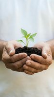 Cupped hands protecting young green plant seedling growing from dark soil symbolizing environmental care, growth, and nurturing new life concepts.