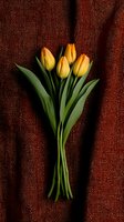 Fresh yellow tulips with green stems arranged on dark brown textured fabric background, creating elegant minimalist floral composition for spring season decor.