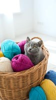 Gray cat sitting in wicker basket surrounded by colorful yarn balls in turquoise, magenta, cream and yellow for crafting, knitting and hobby projects.