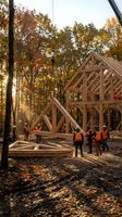 Construction workers in safety vests and hard hats building wooden timber frame house structure in autumn forest with golden sunlight filtering through fall foliage trees.