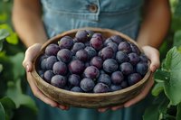 Fresh ripe plums in wooden bowl held by woman in denim dress against green garden background, harvest time concept for healthy organic fruit.