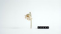 Wilted white flower drooping beside letter tiles spelling SORRY on a clean white background, conveying apology, regret, and emotional decline.