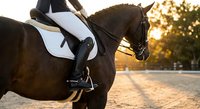 Elegant dressage horse and rider in white saddle pad during golden hour training session at equestrian arena with warm sunset lighting creating athletic silhouette.