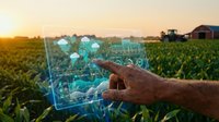 Farmer holding transparent tablet displaying digital agricultural data and crop analytics overlay in cornfield at sunset for smart farming technology.