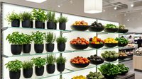 Modern grocery store produce section with fresh herbs in black pots and colorful vegetables displayed on white shelves under bright LED lighting.