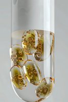 Transparent gel capsules with golden liquid and bubbles floating in clear solution against white background, macro pharmaceutical photography.