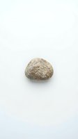 Single natural granite stone isolated on white background for geology education and mineral collection displays.