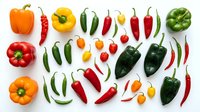 Colorful assortment of fresh peppers and chili varieties arranged on white background. Hot spicy vegetables for cooking, seasoning and culinary recipes.