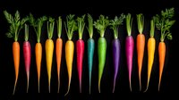 Fresh rainbow carrots in vibrant colors arranged in row on black background, organic heirloom vegetables with green tops showing natural variety and diversity.