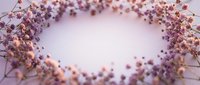 Delicate dried flower wreath frame with purple and pink blooms on soft lavender background for wedding invitations and romantic design projects.
