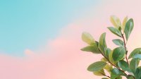 Fresh green leaves branch against soft pastel pink and blue gradient background, natural botanical minimalist composition for wellness and spa designs.