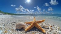 Orange starfish and seashell on tropical beach with white sand, sparkling ocean waves, bright sun and fluffy clouds in blue sky. Summer vacation concept.
