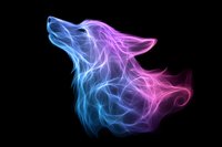 Mystical wolf head created with glowing blue and pink smoke effect on black background, ethereal spirit animal artwork showing detailed flowing lines and magical energy.