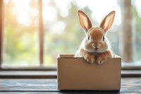 Adorable brown rabbit with upright ears peeking out of cardboard box near window, soft natural lighting creates warm atmosphere for pet and animal care concepts.