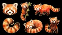 Cute red panda characters isolated on transparent background, ready for t-shirt design, clipart, stickers, sublimation and print-on-demand products.