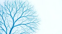 Blue bare tree silhouette with intricate branching pattern on white background for seasonal design projects and nature-themed artwork.