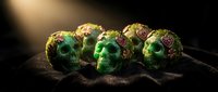 Glowing green skulls with golden and bronze patina sit on dark soil against black background, suitable for Halloween, horror, gothic, and dark fantasy designs.